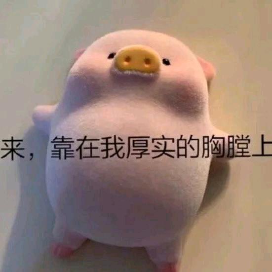 🌈肥橙