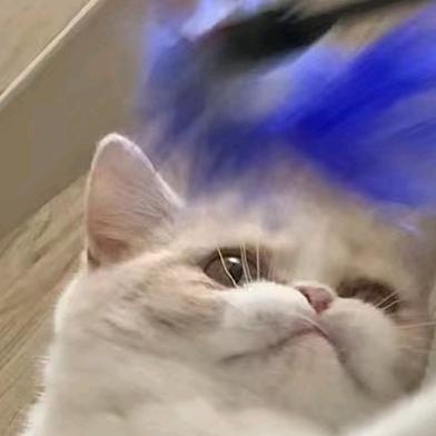 脂肪