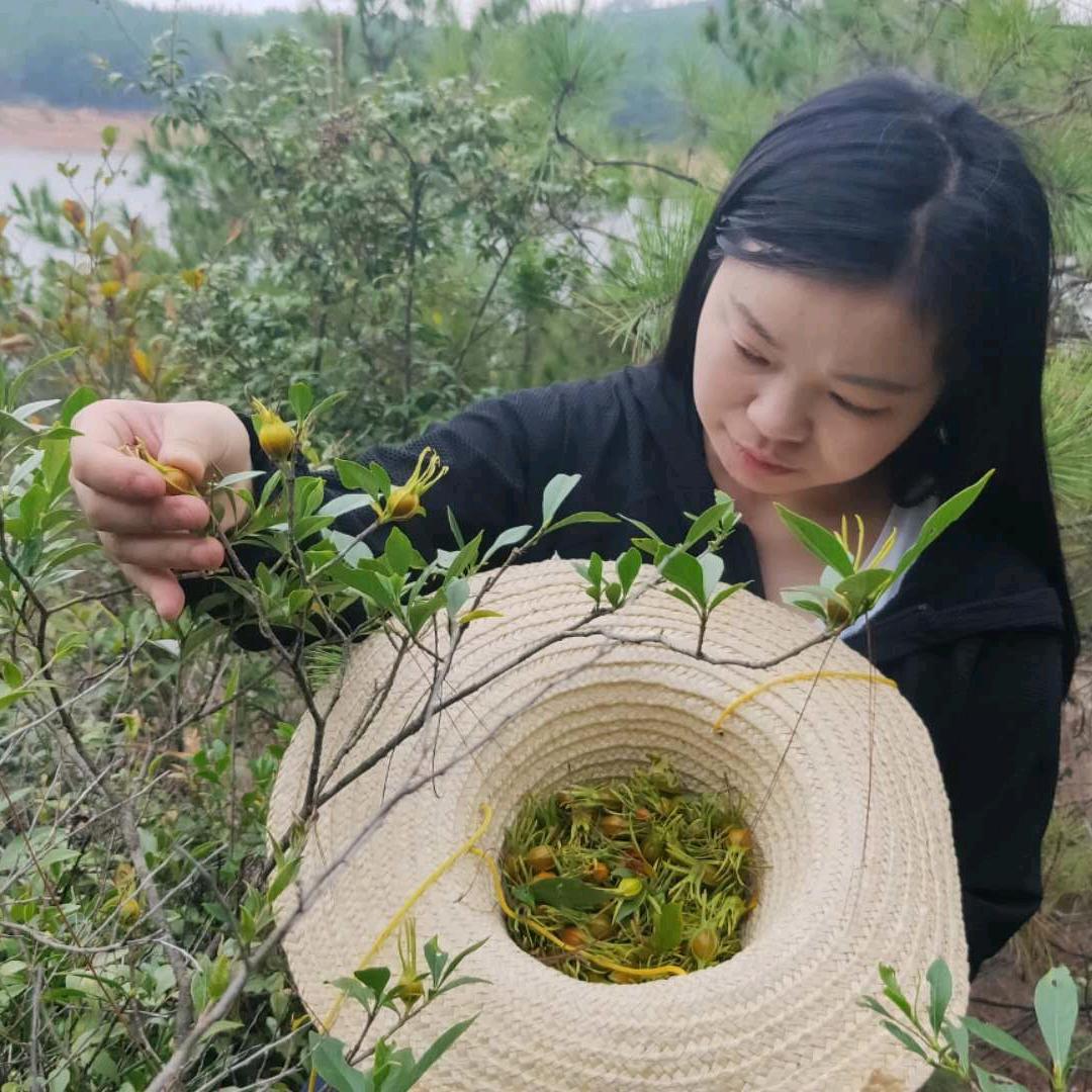农村子露
