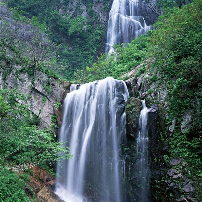 王续潧