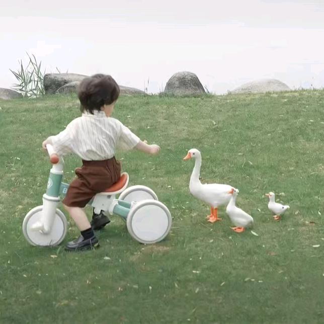 去银行整点金条