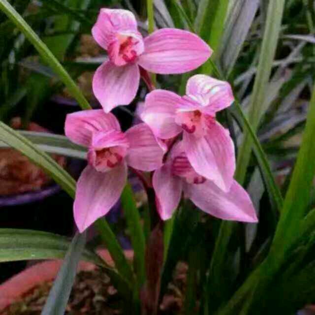 爱上你不是我的错