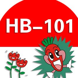 HB-101官方旗舰店