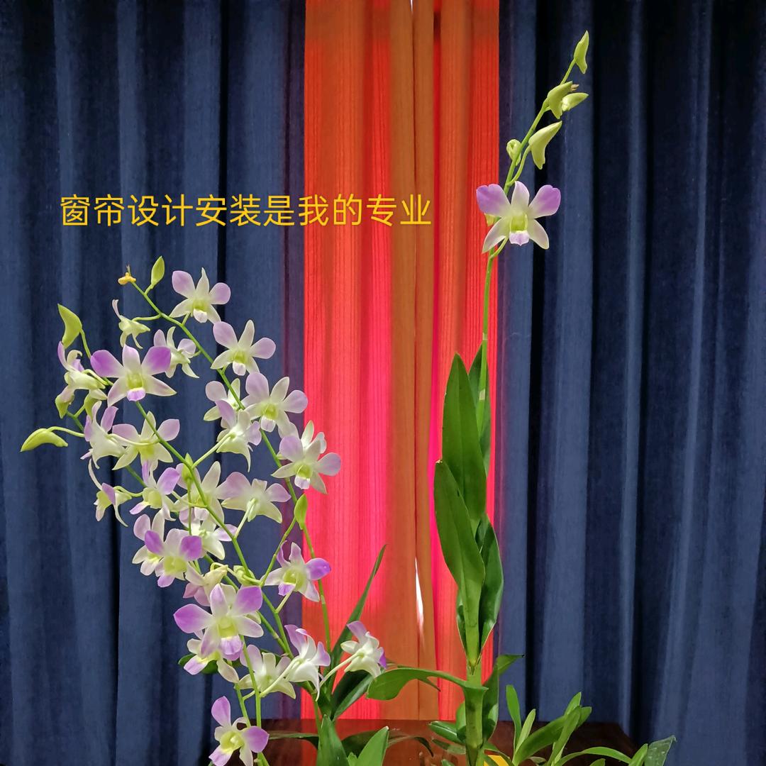 举能帮，善能行。