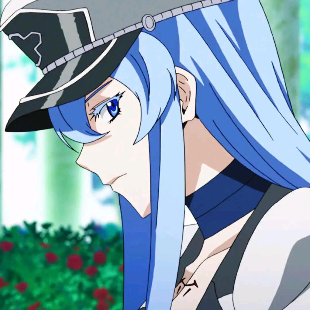 宝崽