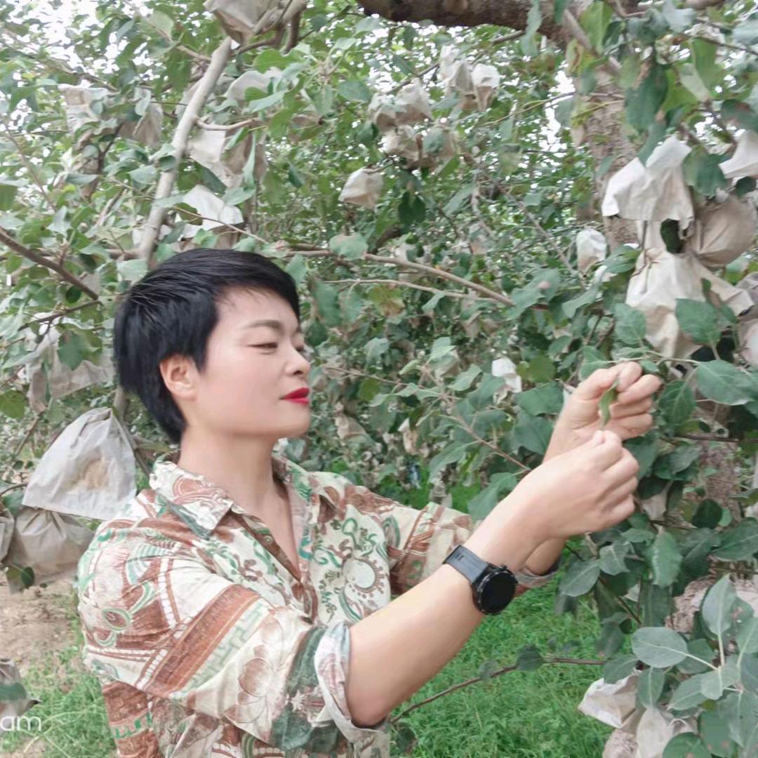 阿红—果树栽培与管理技术