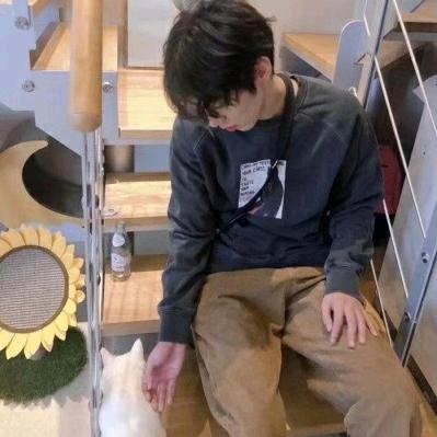 敷衍的谎言（悟空精神）