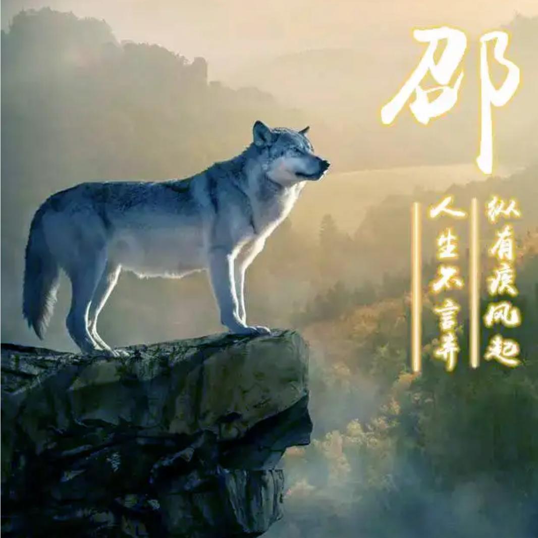 沙拉扣了你