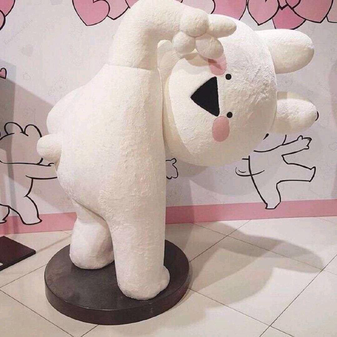 不呆🐟