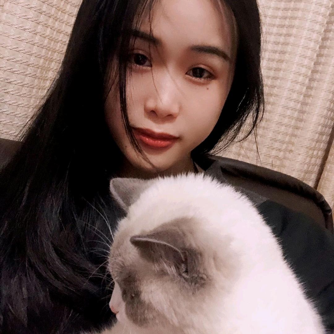小韦柳