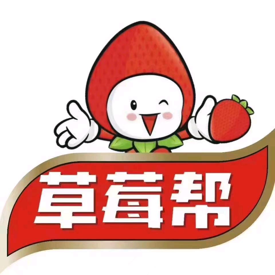 草莓好帮手唐唐