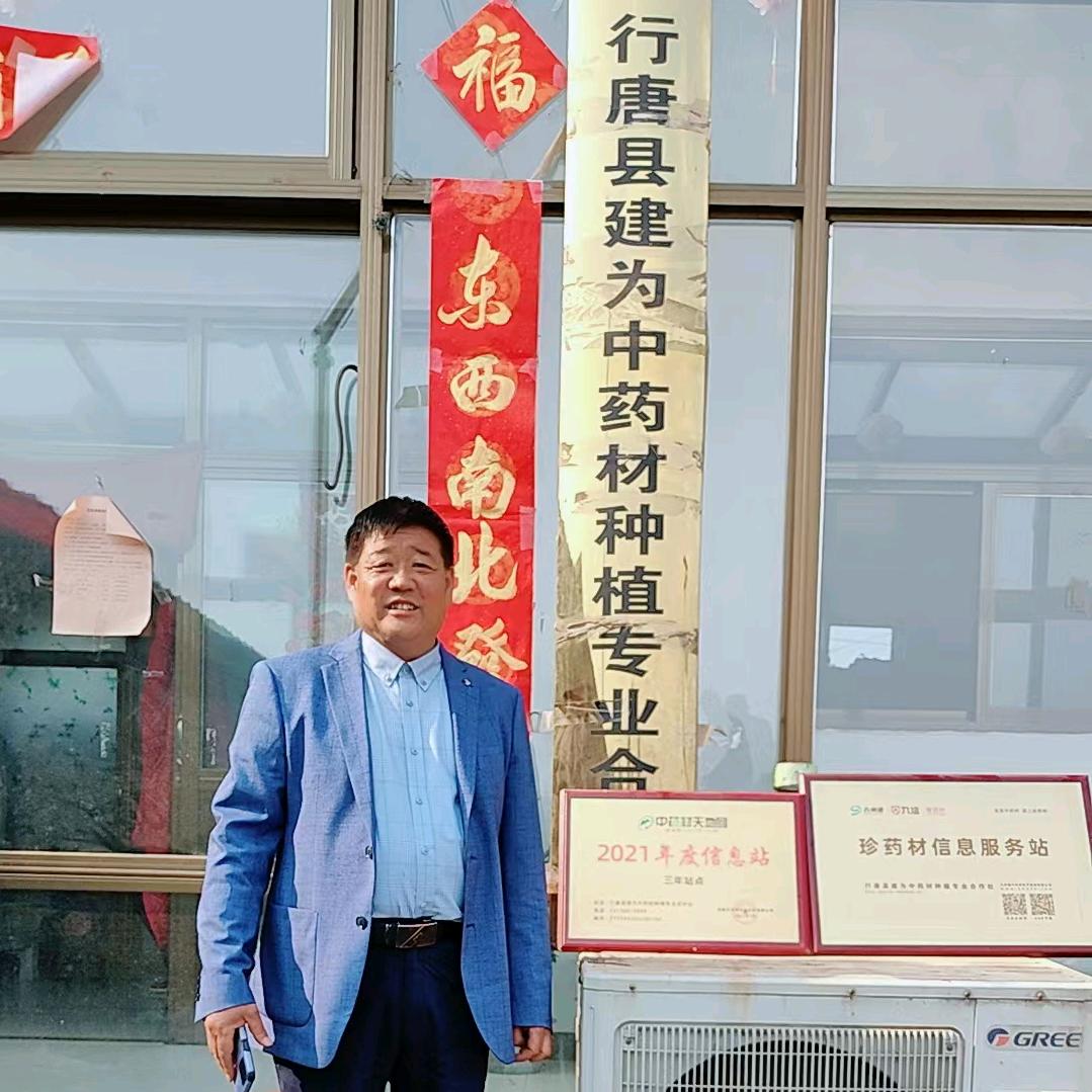 建为防风、威灵仙、白头翁