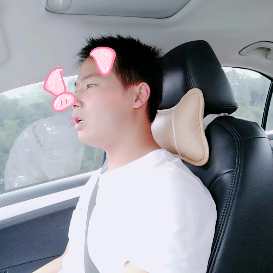 尼答野