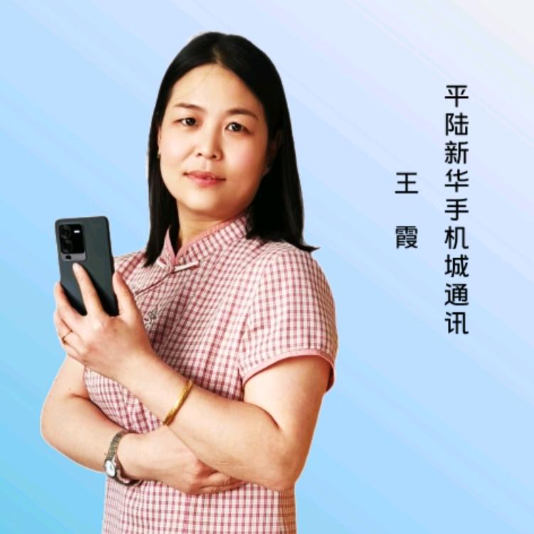 平陆县城镇王霞手机店