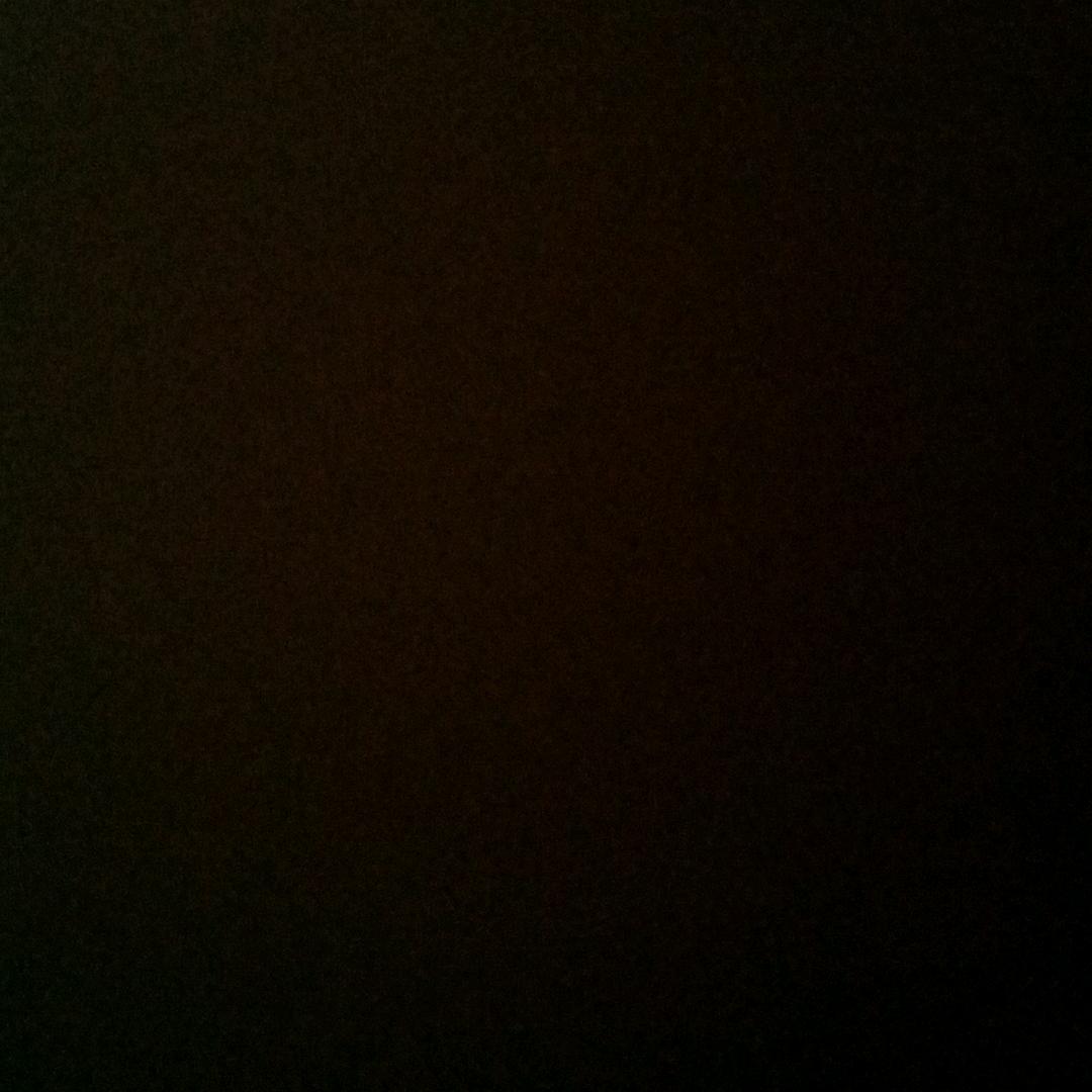 子衂