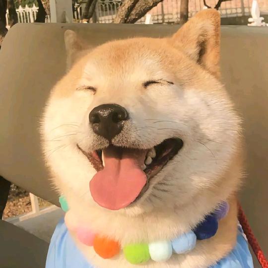 那就祝我好运吧