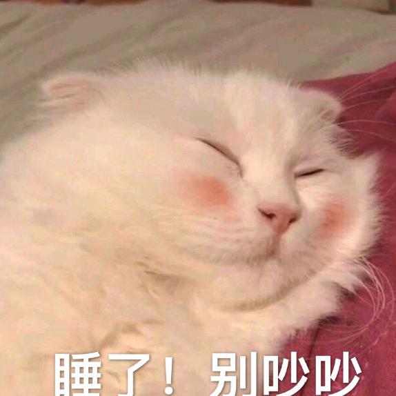 冰糖蓝莓酱