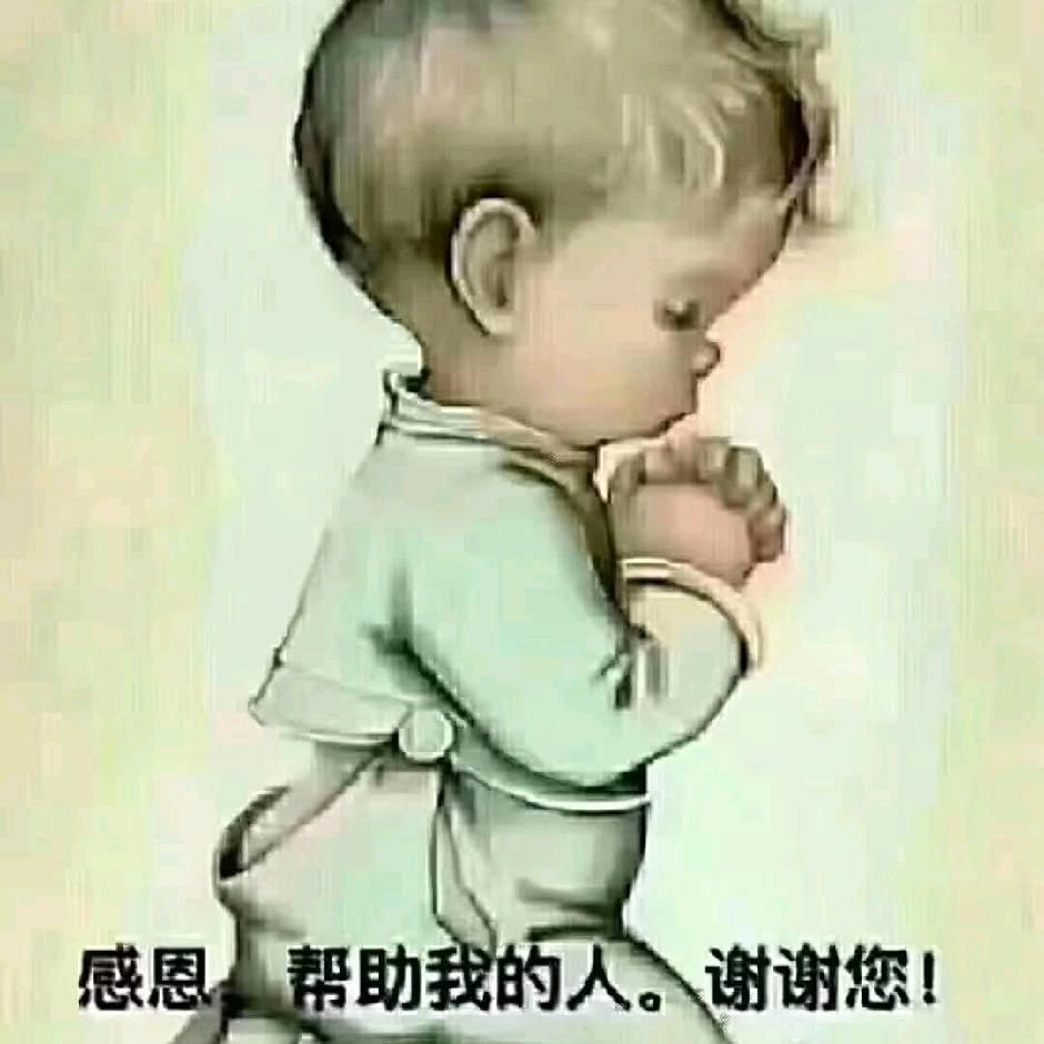 🐯🐯莫负时光🐯🐯