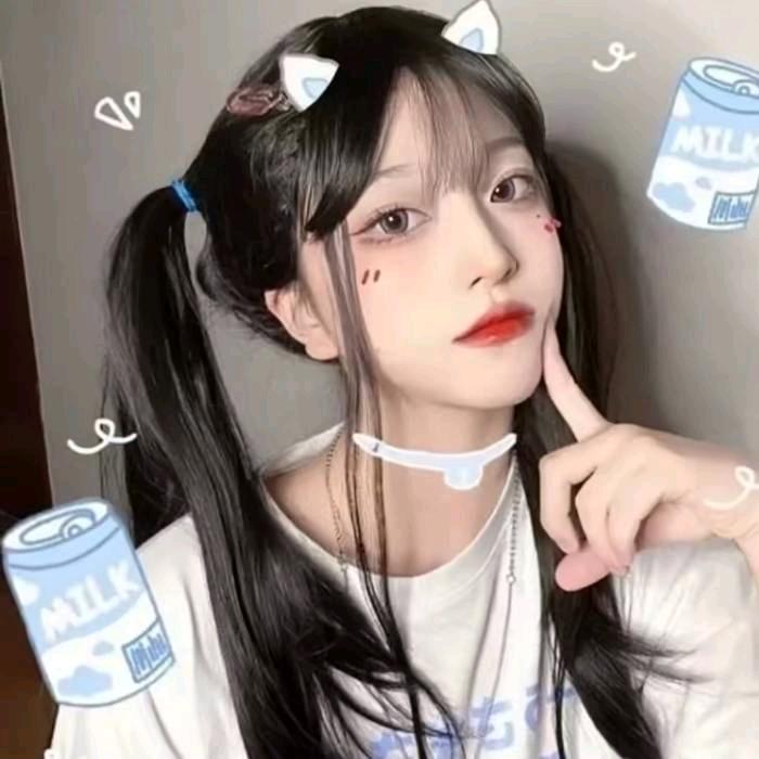 夜猫子😽😽😽😽