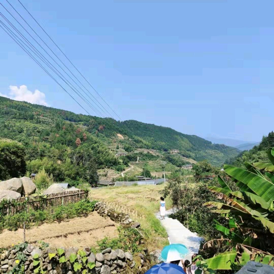 岁月静好🦋