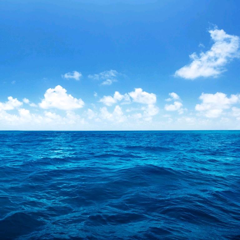 海