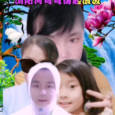 🌺🌿🌺🌿🌺🌿🌺🦋🦋