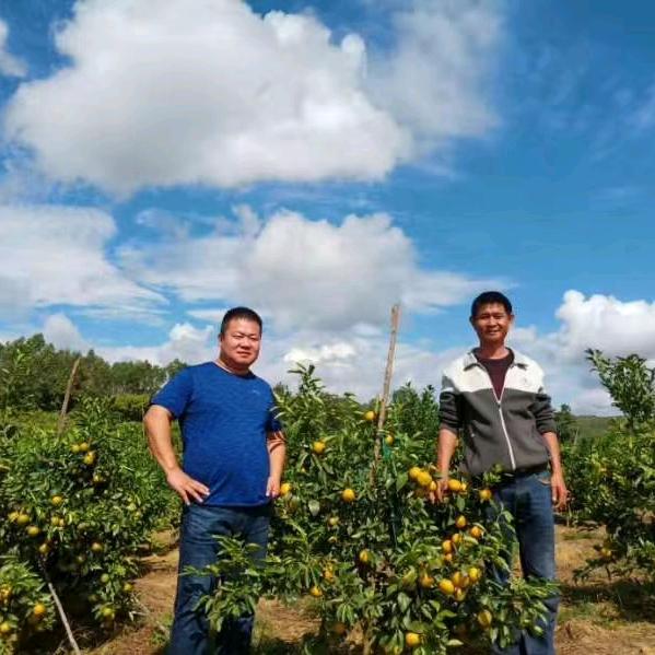 植物营养的巜晓舞》15087999/46