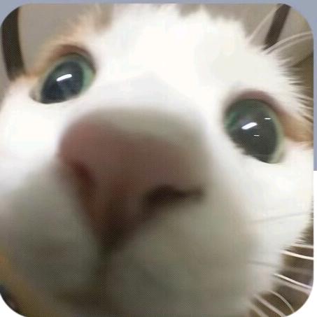蒋一萱