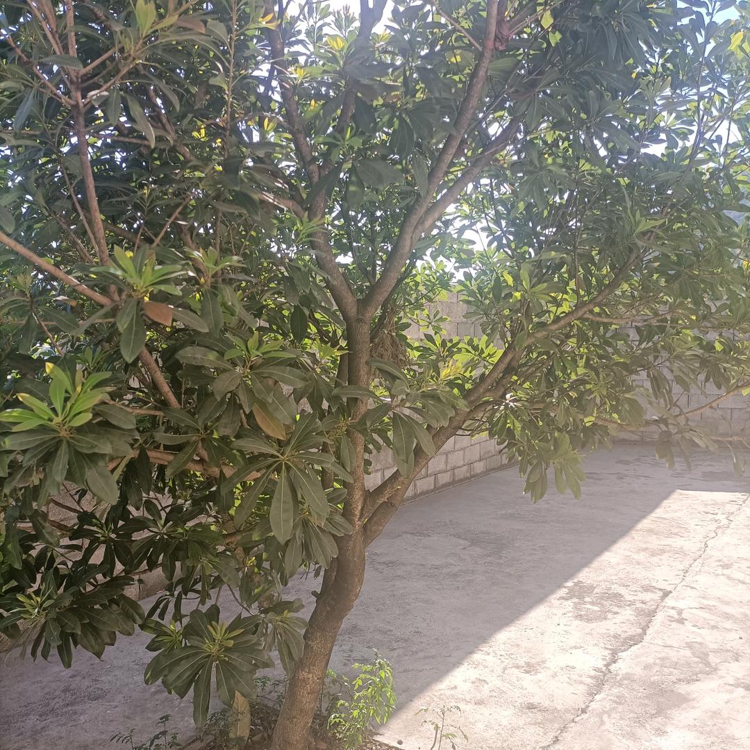 等你出现