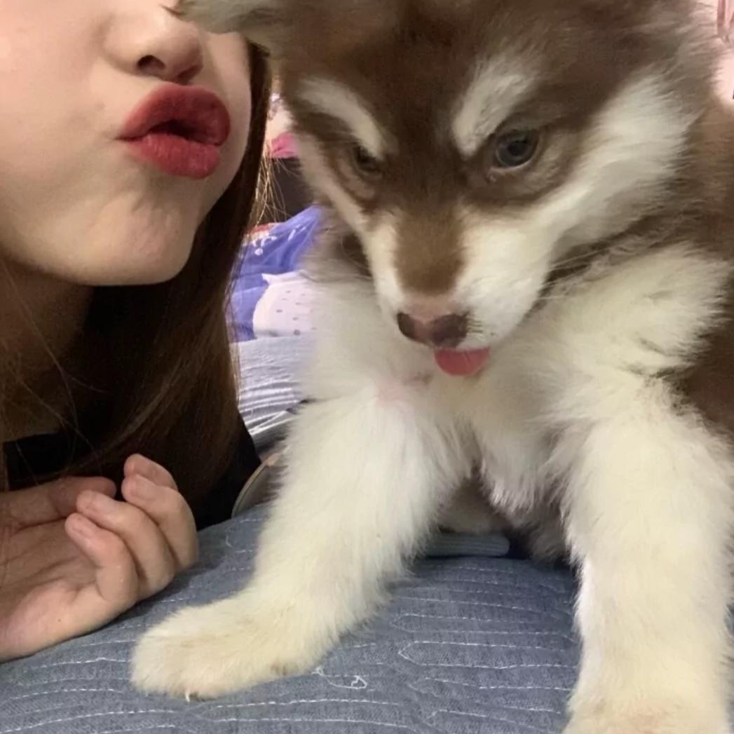 答不刘：
