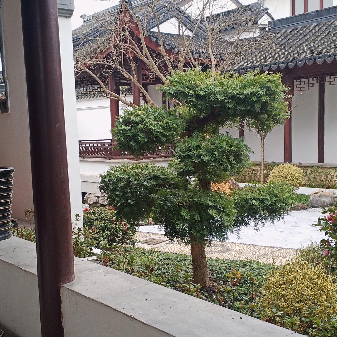 你在就是家，