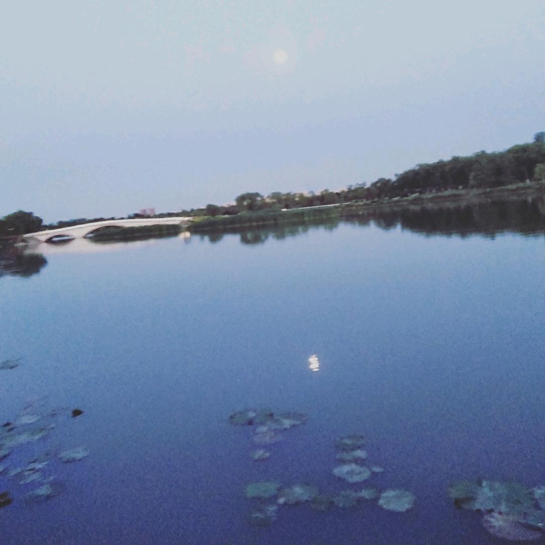 宁愿孤独也不想留恋`