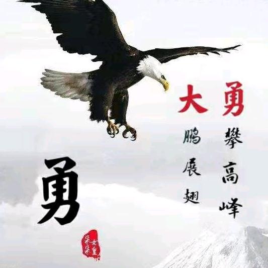 大鹏展翅勇攀高峰