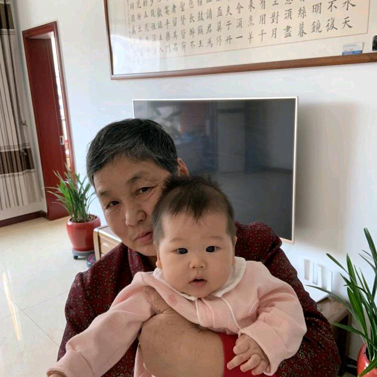 老胡萝卜