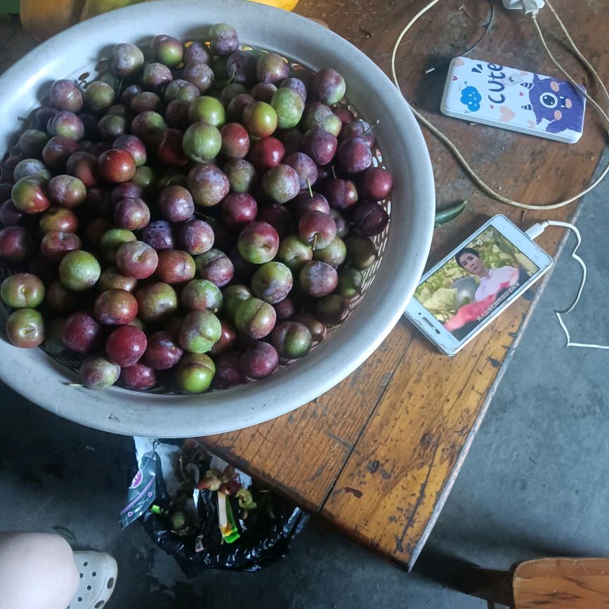 开心每一天。