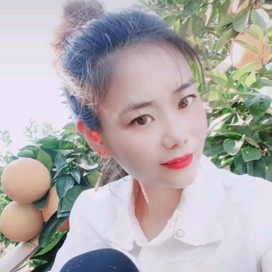 丽红