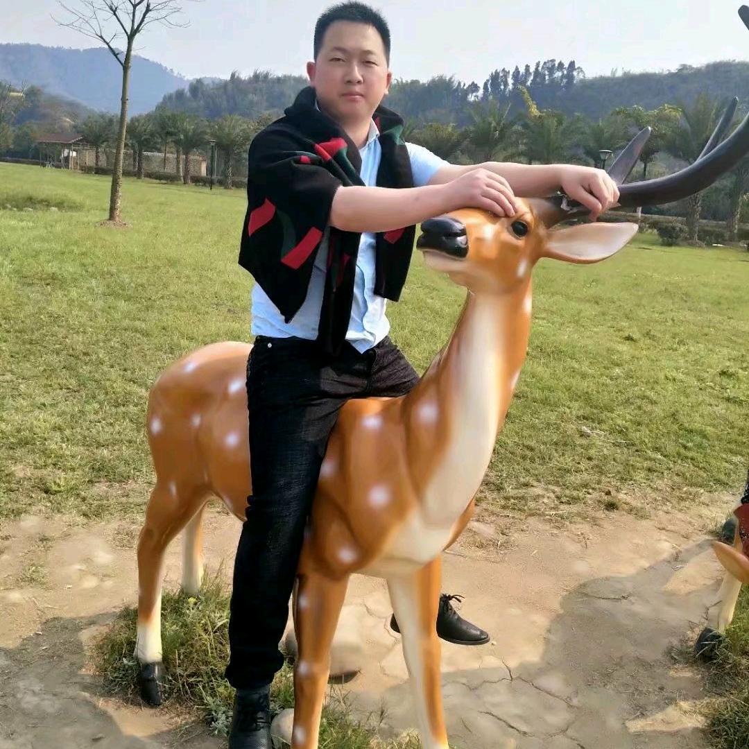 小白杨