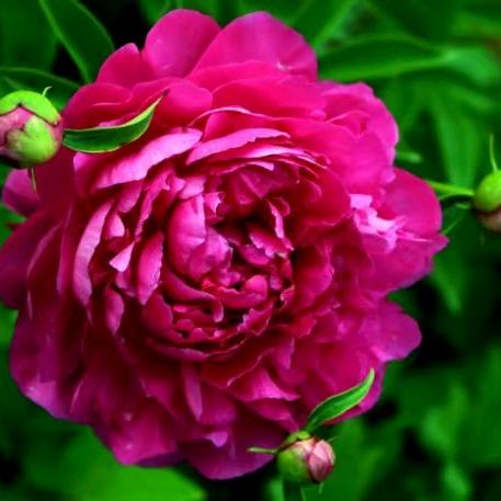 幸福快乐❤郭❤