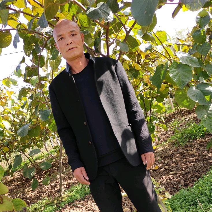 传奇哥