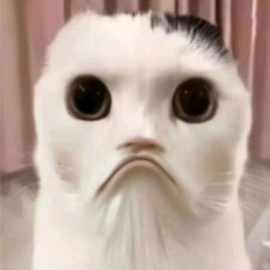你干嘛