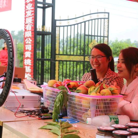 如意金果千亩果园