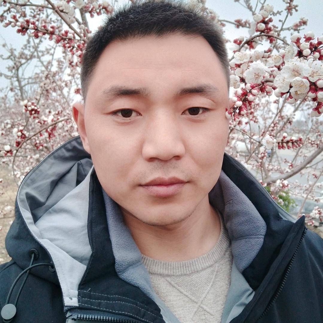 小草上的石头
