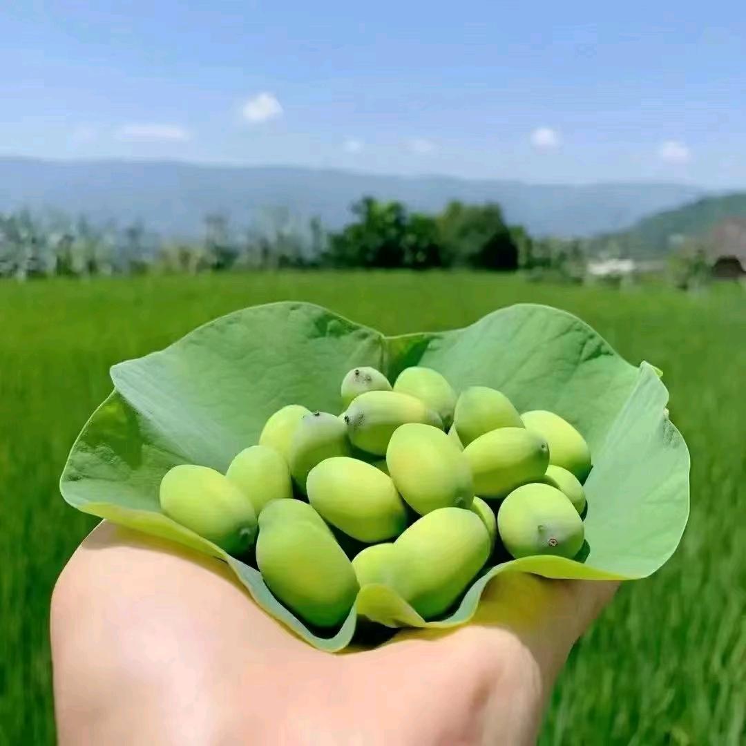 悟聊