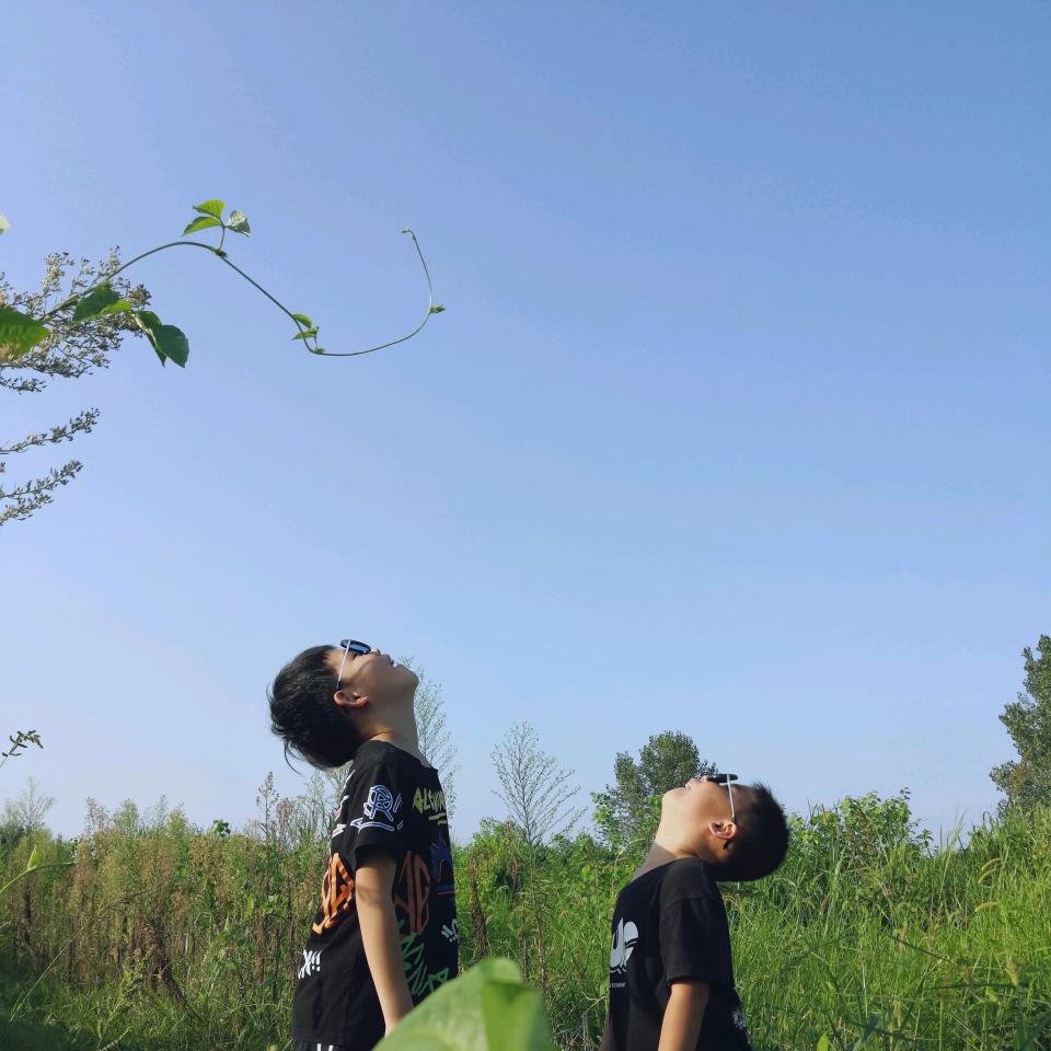 贰仔的碎碎念