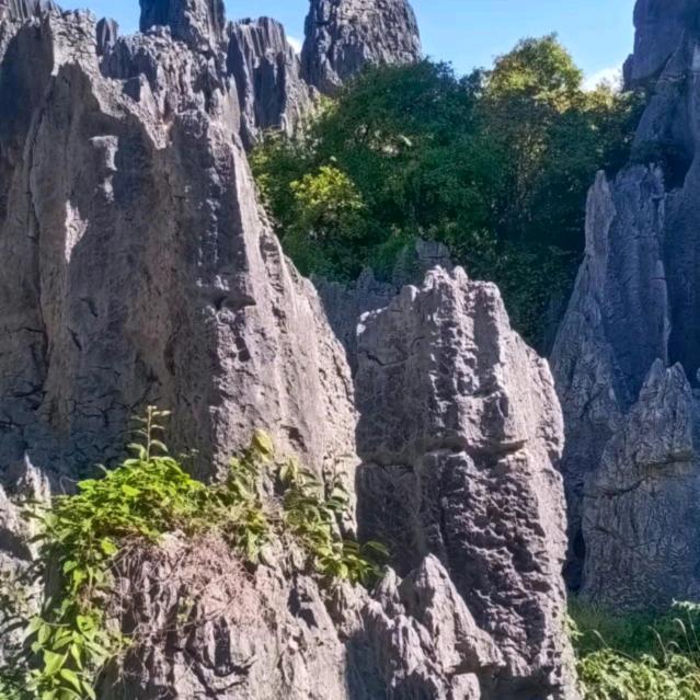 渐渐变老了
