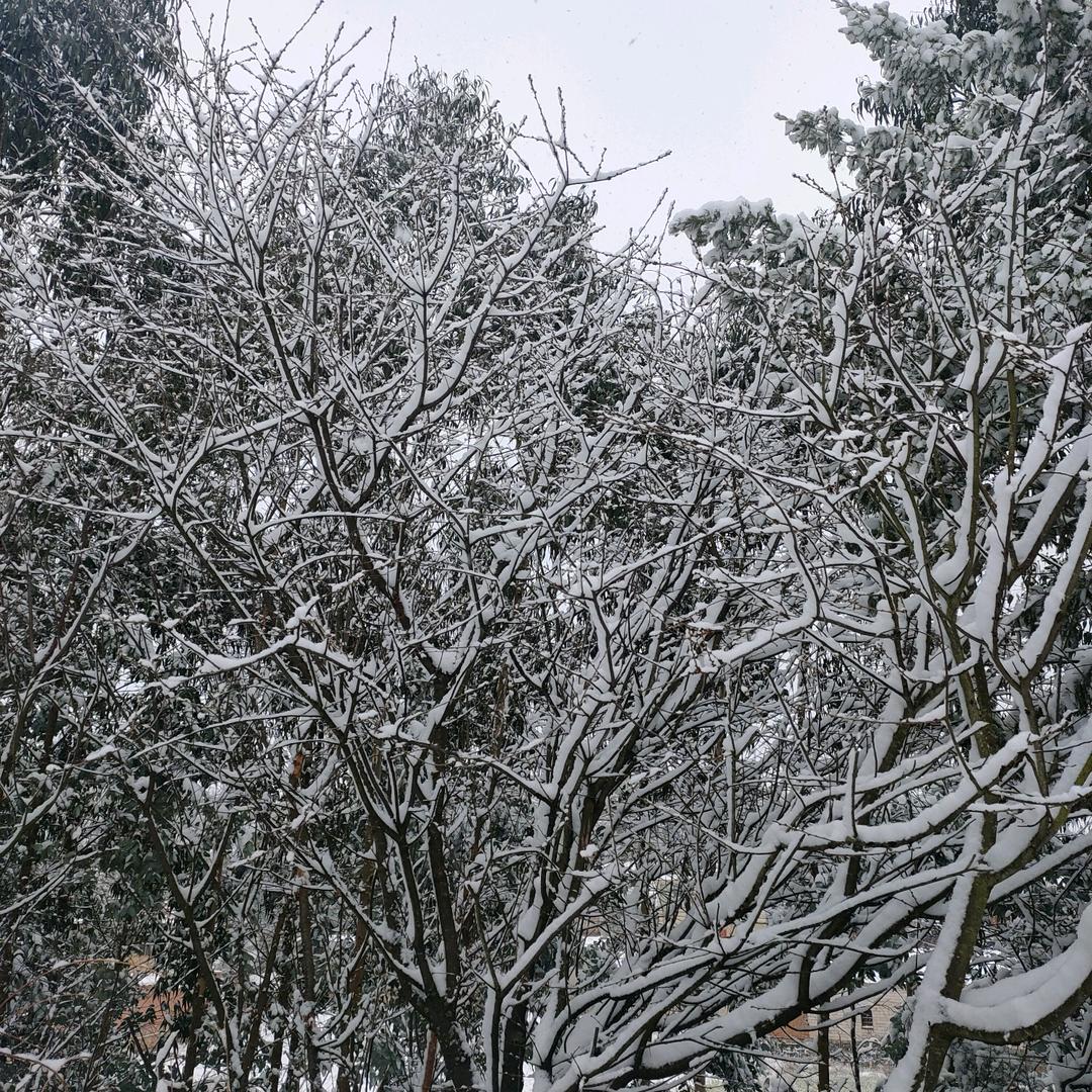 子元钓场