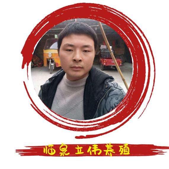 临泉立伟