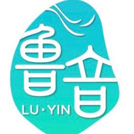 鲁音乐器工厂店严选