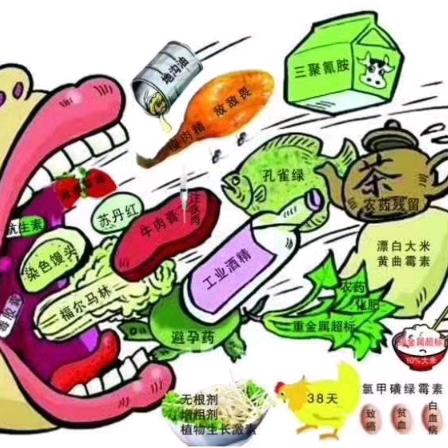 浣熊妈妈