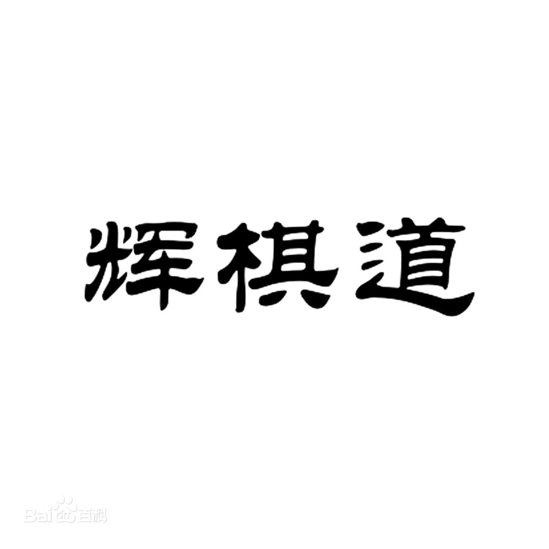 象棋教练杨辉（围棋抽象九段）